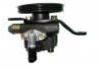 Power Steering Pump:49110-10V00