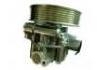 насос гидроусилителя руля Power Steering Pump:56100-R40-P02